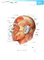 Sobotta Atlas of Human Anatomy  Head,Neck,Upper Limb Volume1 2006, page 78
